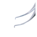 Colibri Forceps 0.12 With Platform